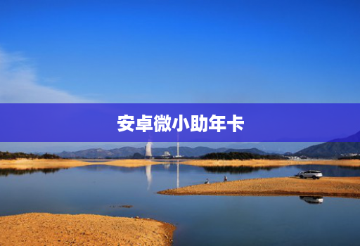 安卓微小助年卡