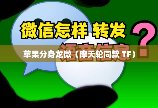 苹果分身龙微（摩天轮同款 TF）