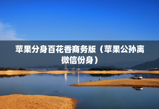 苹果分身百花香商务版（苹果公孙离微信份身）