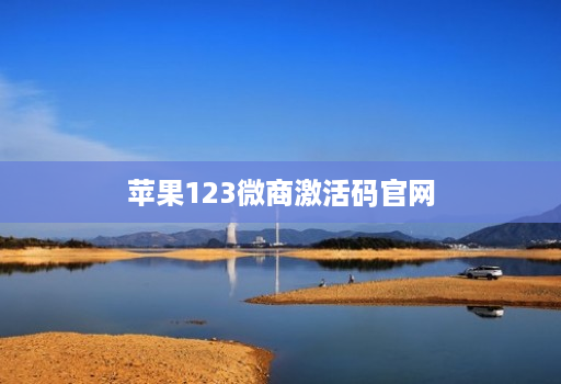 苹果123微商激活码官网
