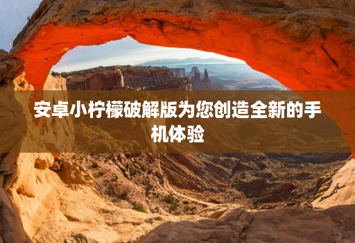 安卓小柠檬破解版为您创造全新的手机体验
