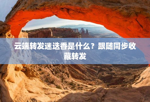 云端转发迷迭香是什么？跟随同步收藏转发