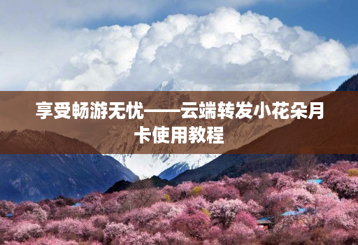 享受畅游无忧——云端转发小花朵月卡使用教程