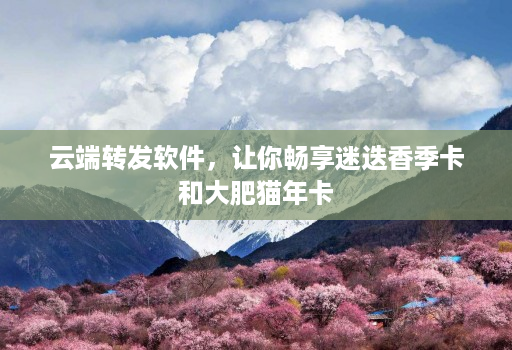 云端转发软件，让你畅享迷迭香季卡和大肥猫年卡