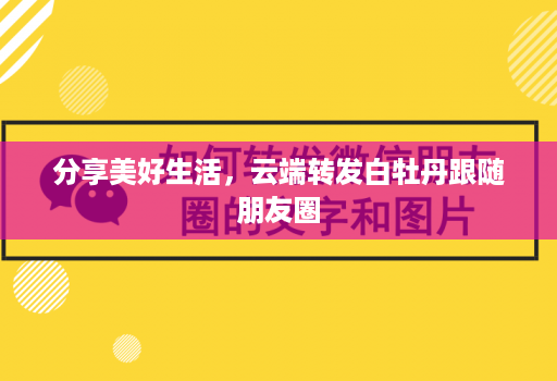 分享美好生活，云端转发白牡丹跟随朋友圈