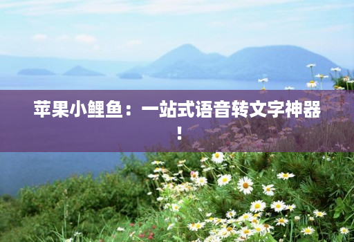 苹果小鲤鱼：一站式语音转文字神器！