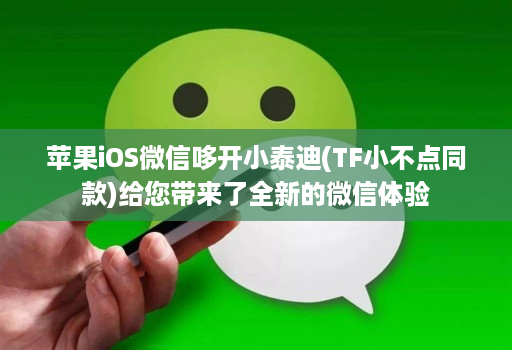 苹果iOS微信哆开小泰迪(TF小不点同款)给您带来了全新的微信体验