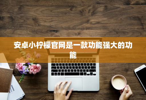 安卓小柠檬官网是一款功能强大的功能