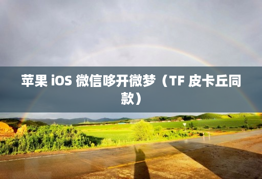 苹果 iOS 微信哆开微梦（TF 皮卡丘同款）
