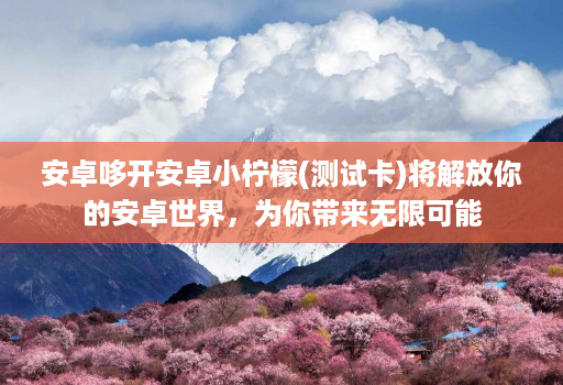 安卓哆开安卓小柠檬(测试卡)将解放你的安卓世界，为你带来无限可能