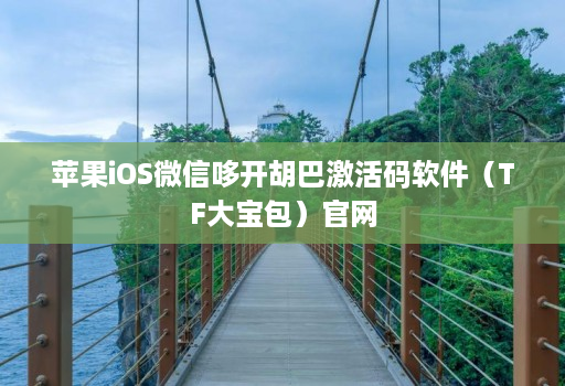 苹果iOS微信哆开胡巴激活码软件（TF大宝包）官网