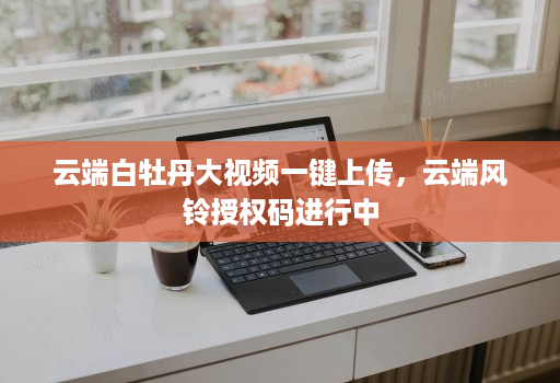 云端白牡丹大视频一键上传，云端风铃授权码进行中