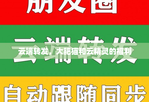 云端转发，大肥猫和云精灵的福利