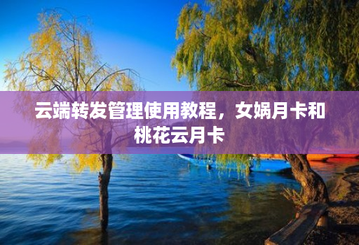 云端转发管理使用教程，女娲月卡和桃花云月卡