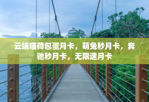 云端喵荷包蛋月卡，萌兔秒月卡，奔驰秒月卡，无限速月卡