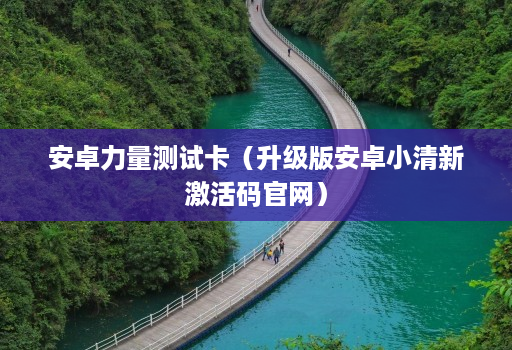 安卓力量测试卡（升级版安卓小清新激活码官网）