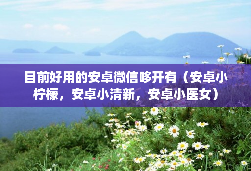 目前好用的安卓微信哆开有（安卓小柠檬，安卓小清新，安卓小医女）