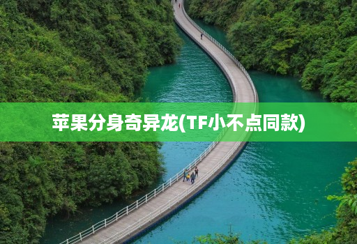 苹果分身奇异龙(TF小不点同款)