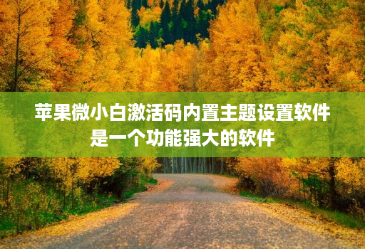 苹果微小白激活码内置主题设置软件是一个功能强大的软件
