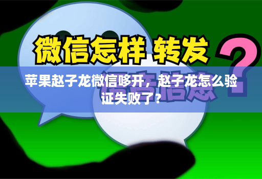 苹果赵子龙微信哆开，赵子龙怎么验证失败了？