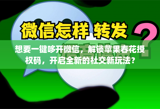 想要一键哆开微信，解锁苹果春花授权码，开启全新的社交新玩法？