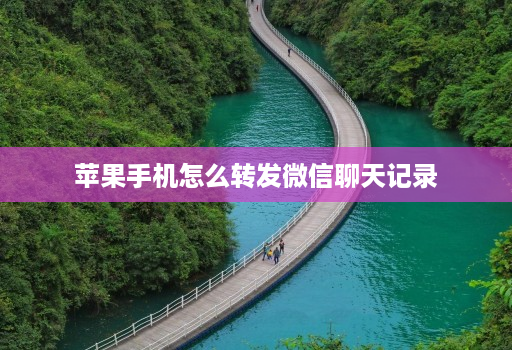 苹果手机怎么转发微信聊天记录