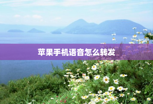 苹果手机语音怎么转发