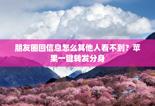朋友圈回信息怎么其他人看不到？苹果一键转发分身