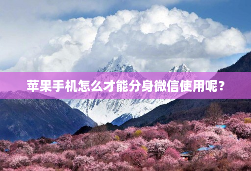 苹果手机怎么才能分身微信使用呢？