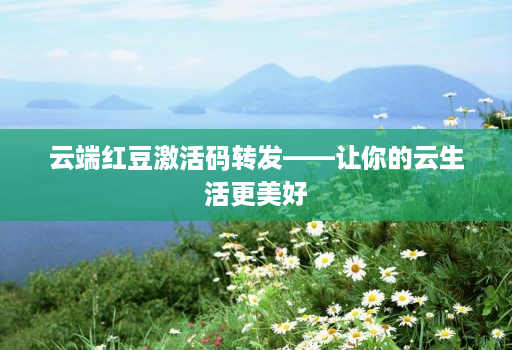 云端红豆激活码转发——让你的云生活更美好