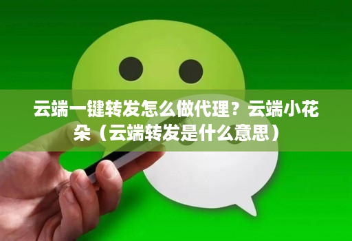 云端一键转发怎么做代理？云端小花朵（云端转发是什么意思）