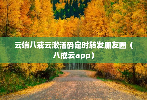 云端八戒云激活码定时转发朋友圈（八戒云app）