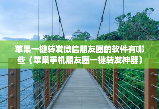 苹果一键转发微信朋友圈的软件有哪些（苹果手机朋友圈一键转发神器）