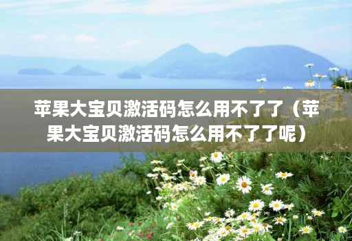 苹果大宝贝激活码怎么用不了了（苹果大宝贝激活码怎么用不了了呢）