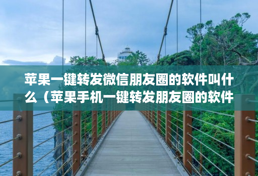 苹果一键转发微信朋友圈的软件叫什么（苹果手机一键转发朋友圈的软件叫什么）