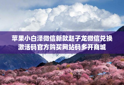 苹果小白泽微信新款赵子龙微信兑换激活码官方购买网站码多开商城