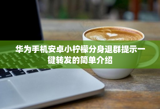 华为手机安卓小柠檬分身退群提示一键转发的简单介绍