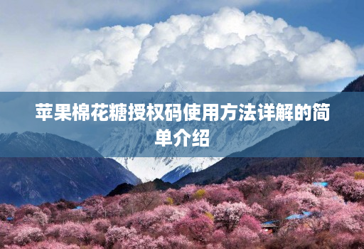 苹果棉花糖授权码使用方法详解的简单介绍