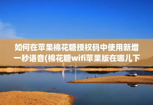 如何在苹果棉花糖授权码中使用新增一秒语音(棉花糖wifi苹果版在哪儿下载)
