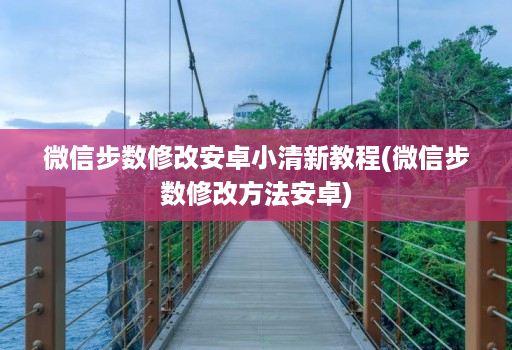微信步数修改安卓小清新教程(微信步数修改方法安卓)