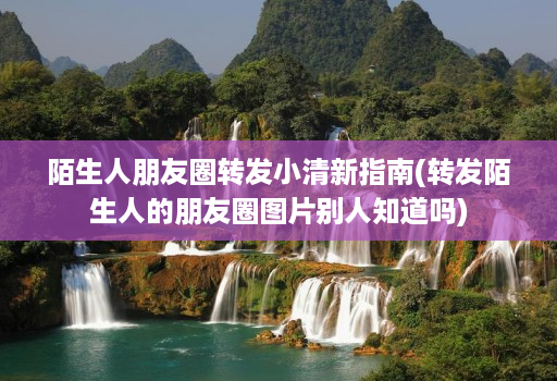 陌生人朋友圈转发小清新指南(转发陌生人的朋友圈图片别人知道吗)
