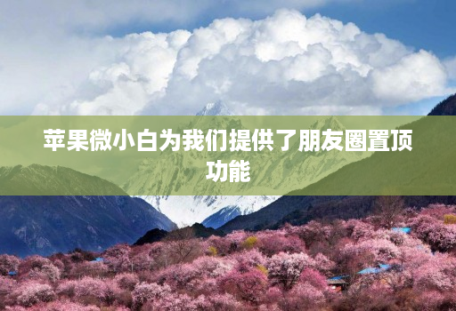 苹果微小白为我们提供了朋友圈置顶功能