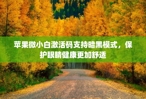 苹果微小白激活码支持暗黑模式，保护眼睛健康更加舒适