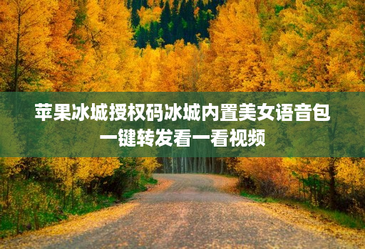 苹果冰城授权码冰城内置美女语音包一键转发看一看视频