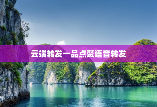 云端转发一品点赞语音转发