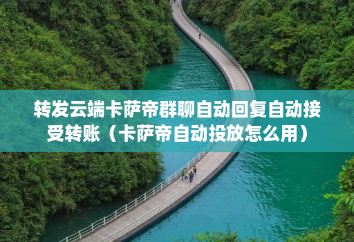 转发云端卡萨帝群聊自动回复自动接受转账（卡萨帝自动投放怎么用）