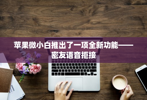 苹果微小白推出了一项全新功能——密友语音拒接