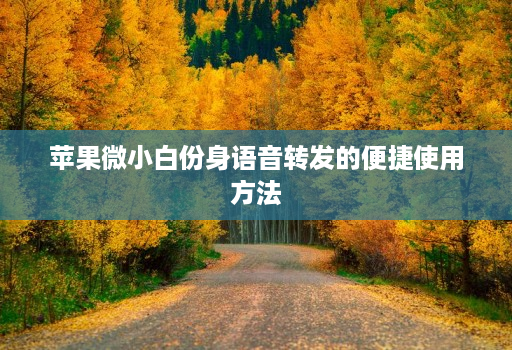 苹果微小白份身语音转发的便捷使用方法