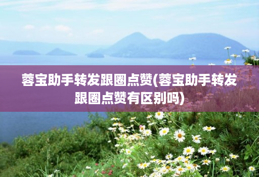 蓉宝助手转发跟圈点赞(蓉宝助手转发跟圈点赞有区别吗)