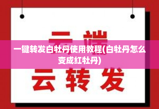 一键转发白牡丹使用教程(白牡丹怎么变成红牡丹)
